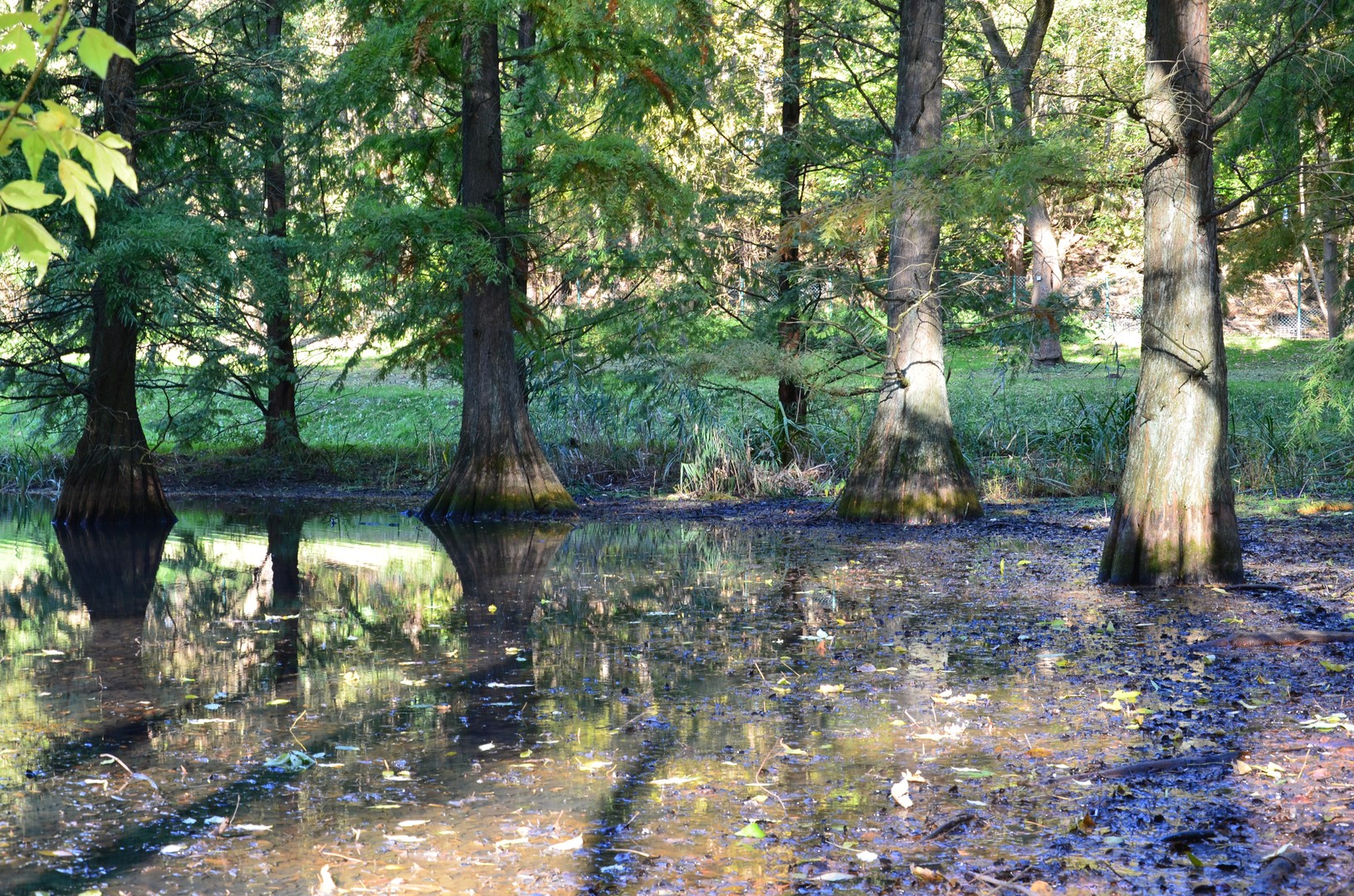 Herbst am See