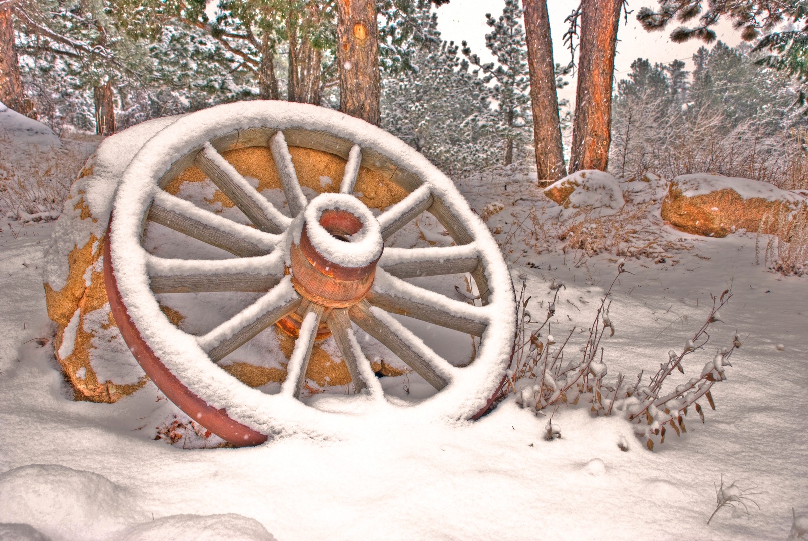 snow wheel