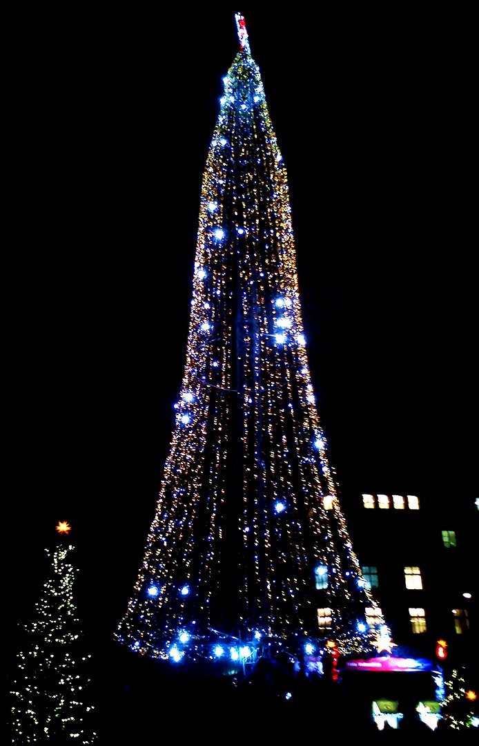 Weihnachtsbaum Weihnachtsmarkt HAmburg