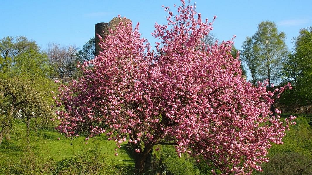 Stadt Blankerberg Frühlingseinzug