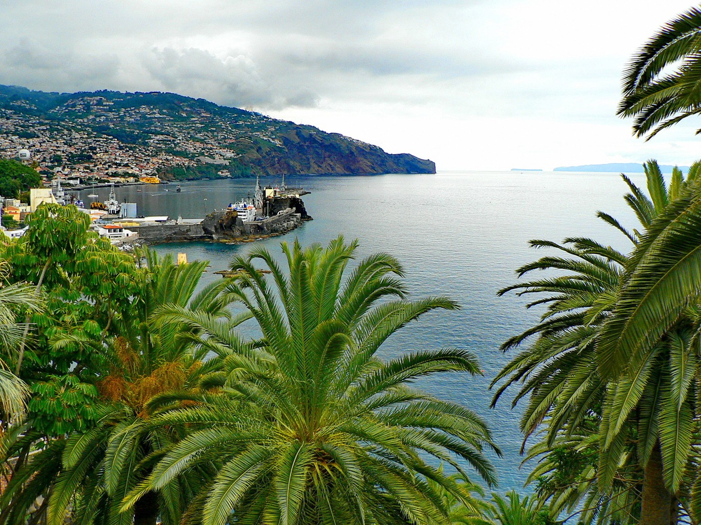 Blick auf Hafen von Funchal