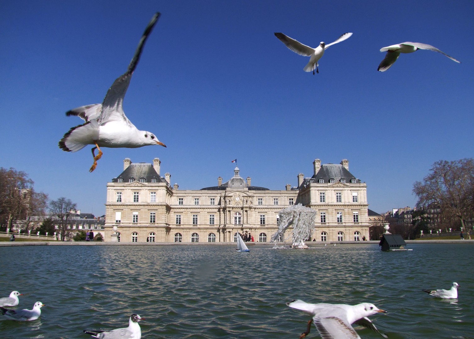 Jardin du Luxembourg / Paris