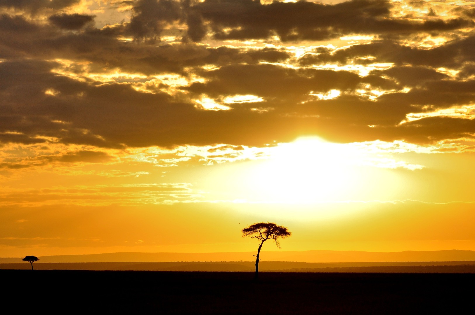 Sonnenaufgang in der Massai Mara