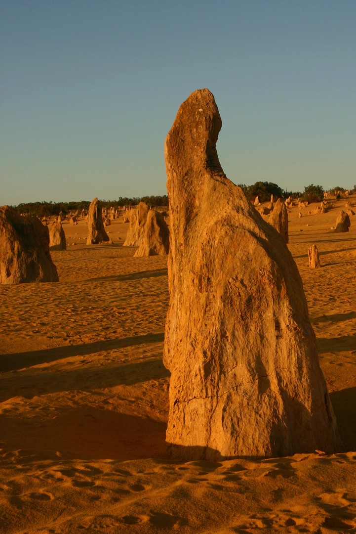 Gestalten oder die Pinnacles