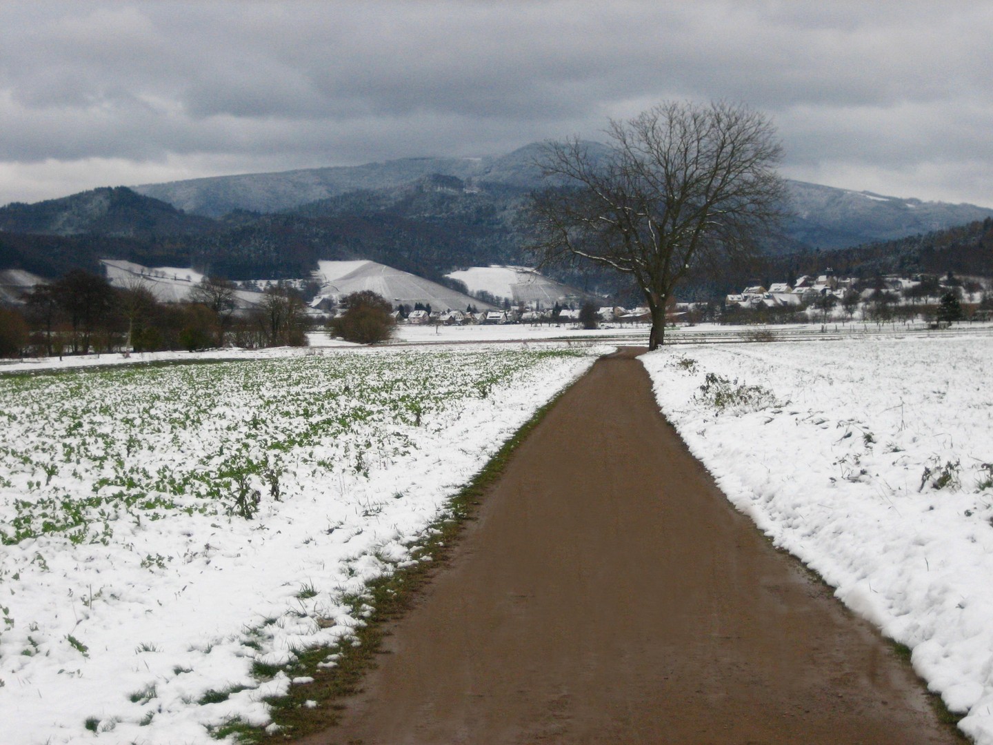 Blick auf ...