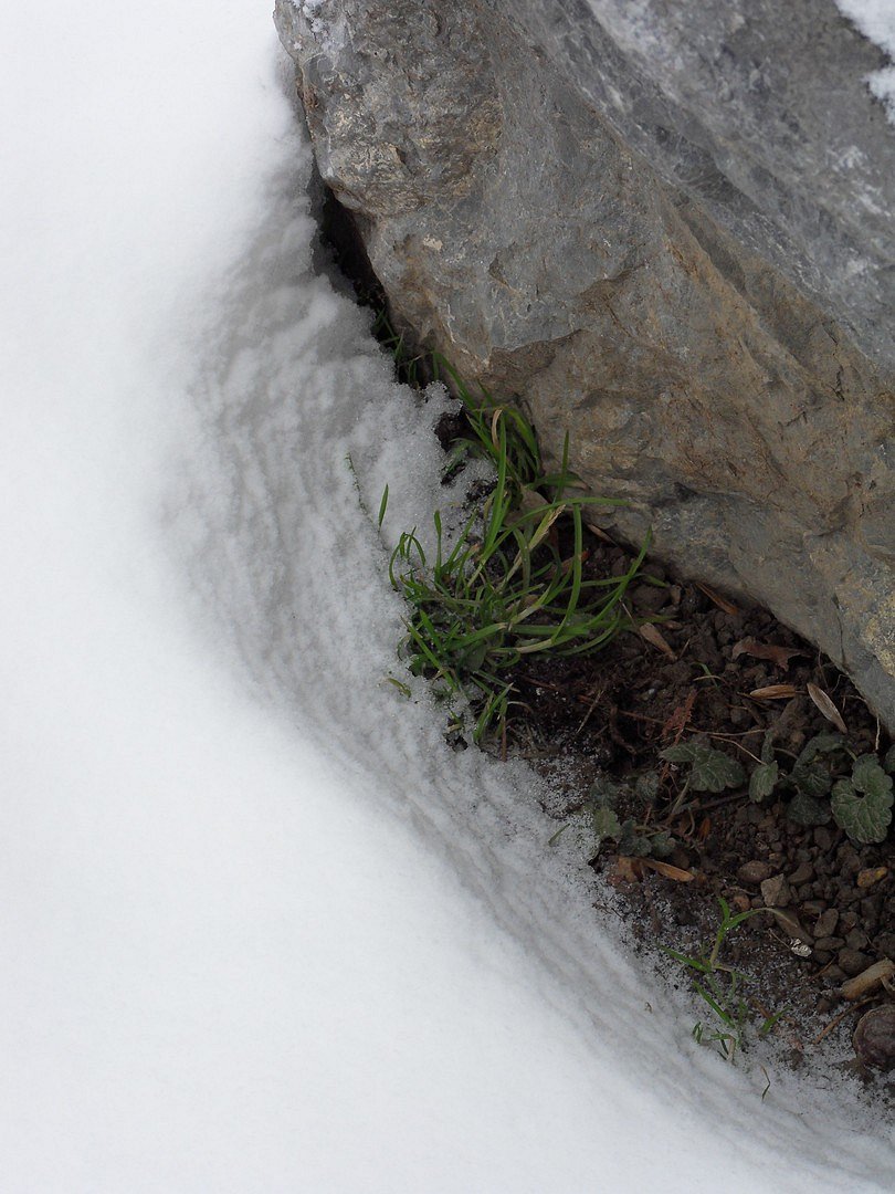 wind schatten