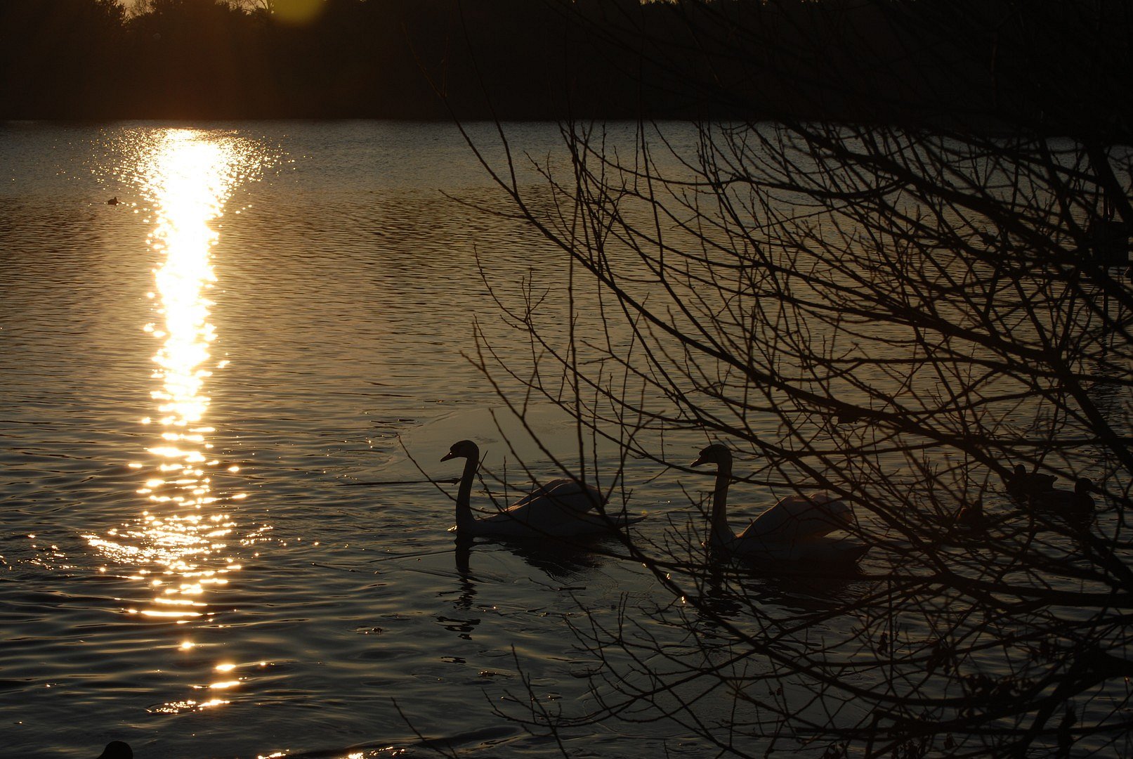 sunset in winter