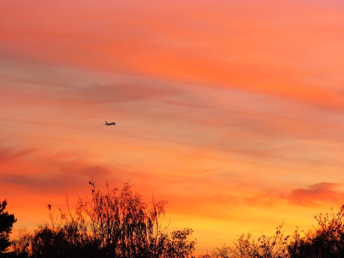 Flight into the night