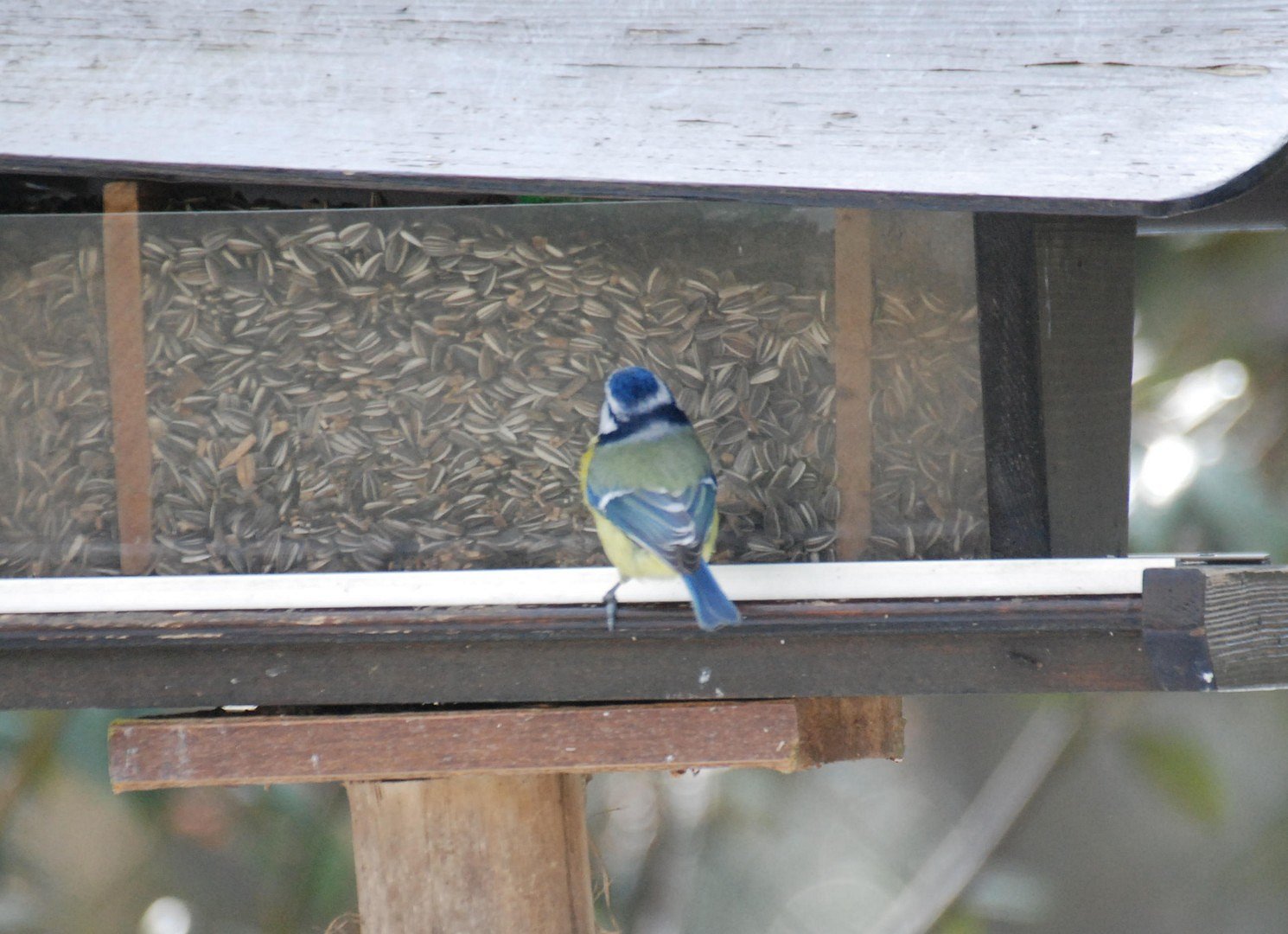 Le restaurant des oiseaux