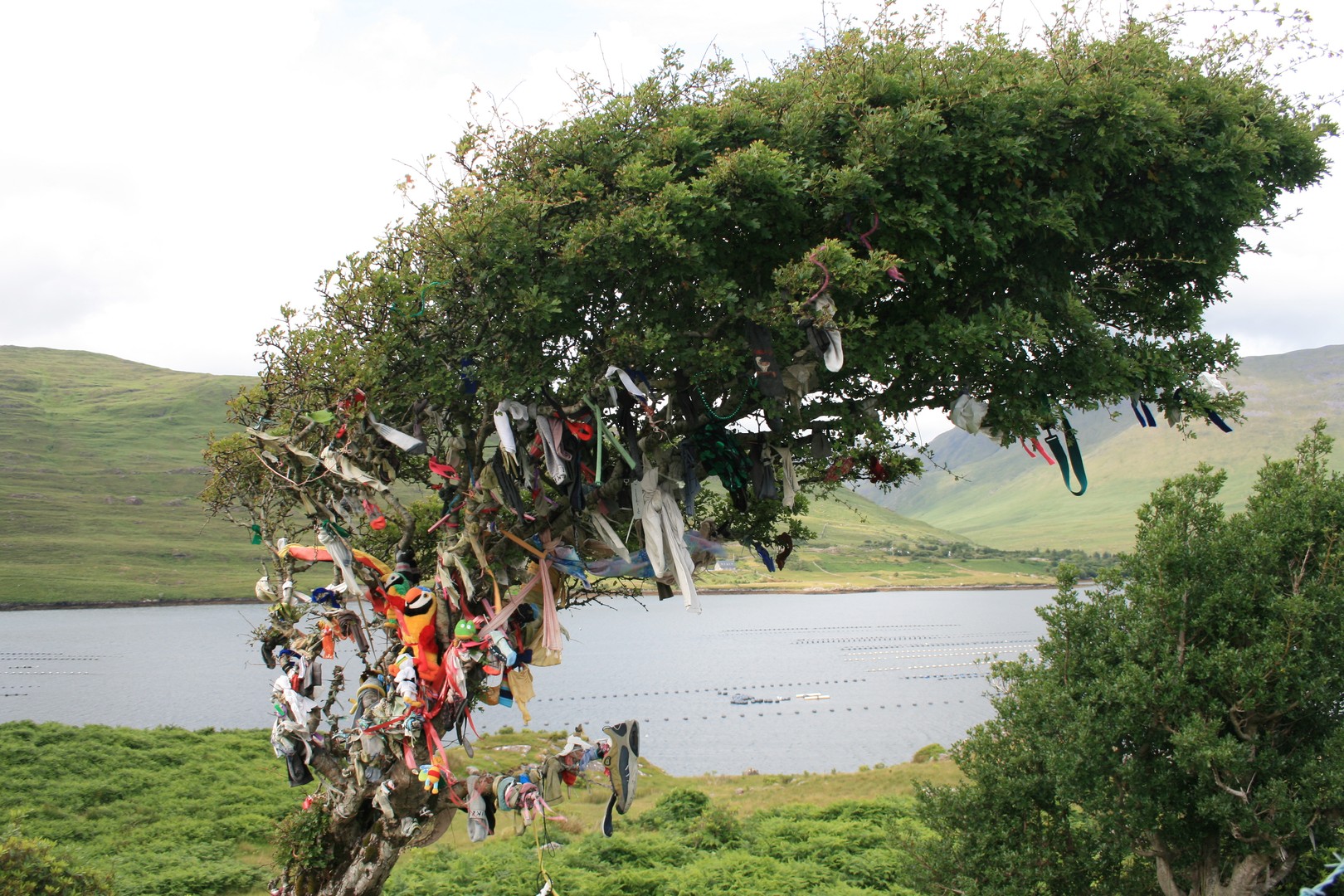 Arbre à souvenirs