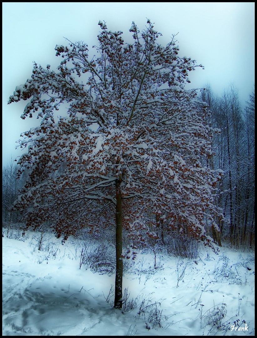 Winter 2010