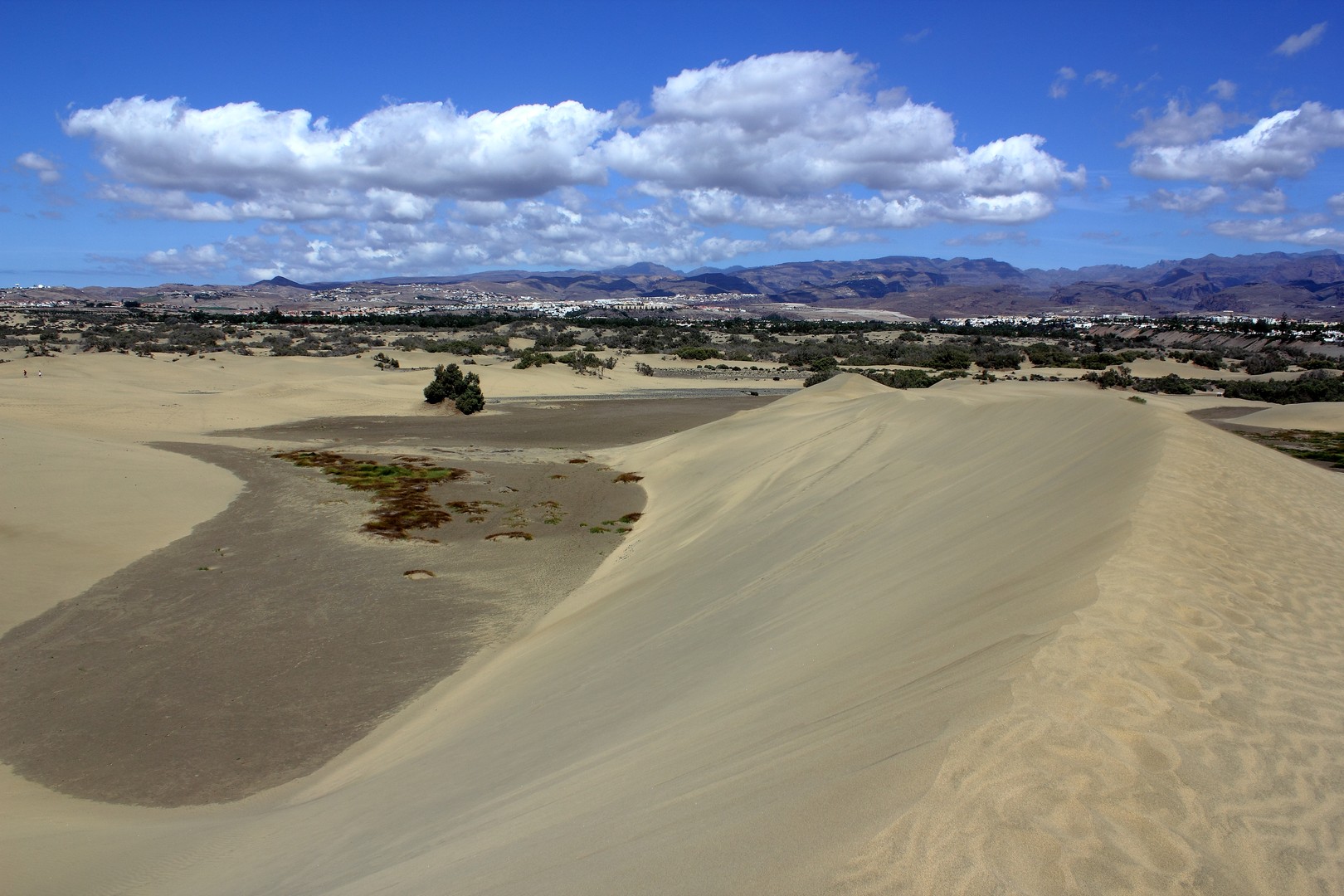 dunas de maspalomas