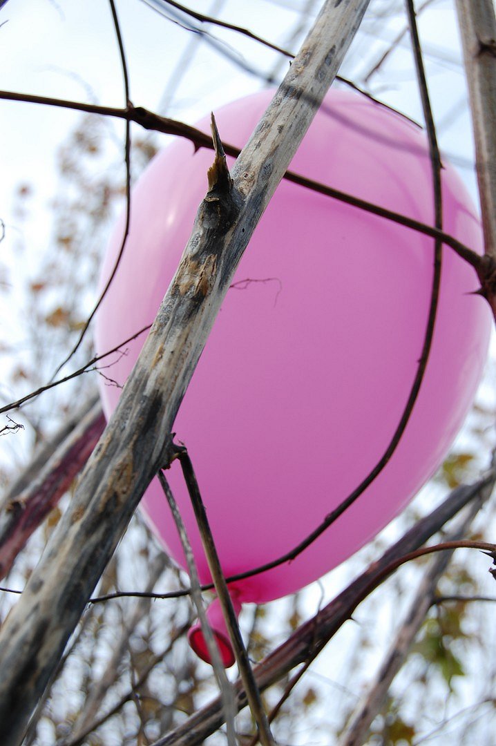 Pink Balloon