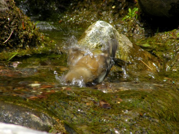 Beim Baden!