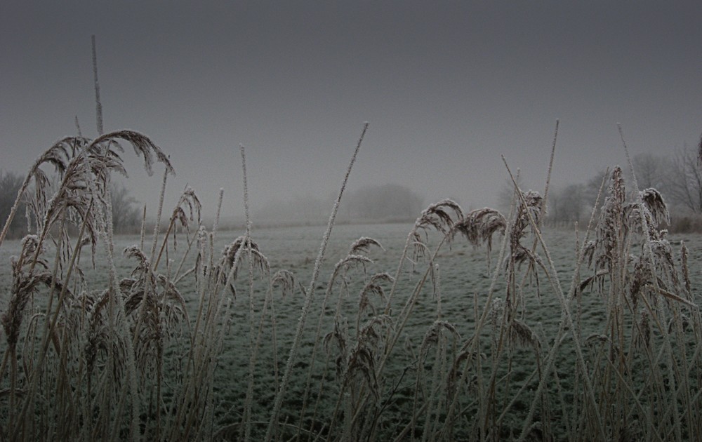 Der Winter in seinen letzten Zügen