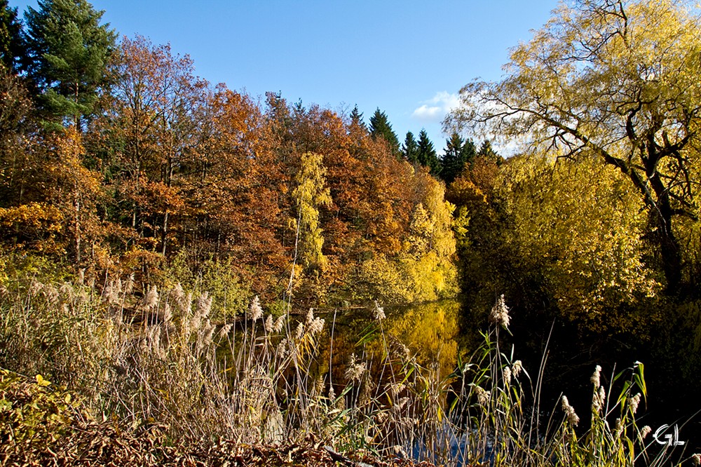 Herbstkleid