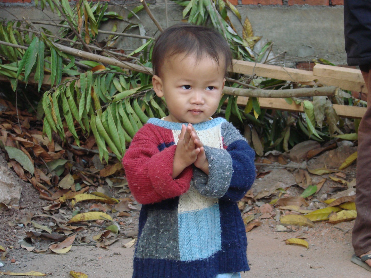 Jeune enfant de Luang Prabang au nord Laos