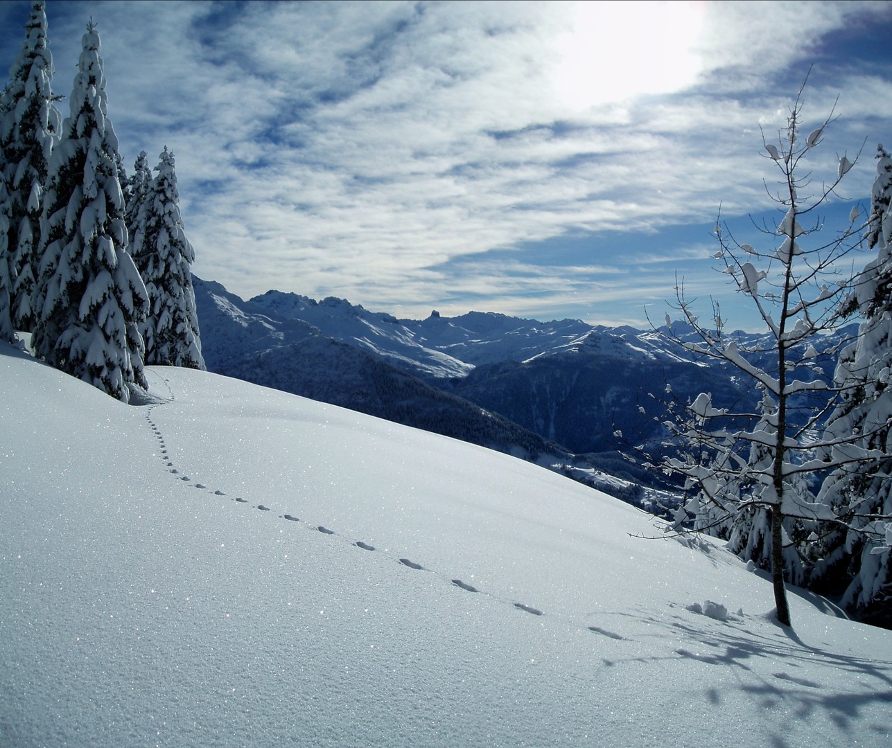 1 - Sur les traces du dahu...