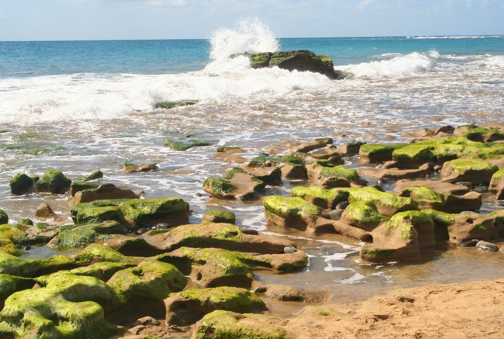 Maspalomas