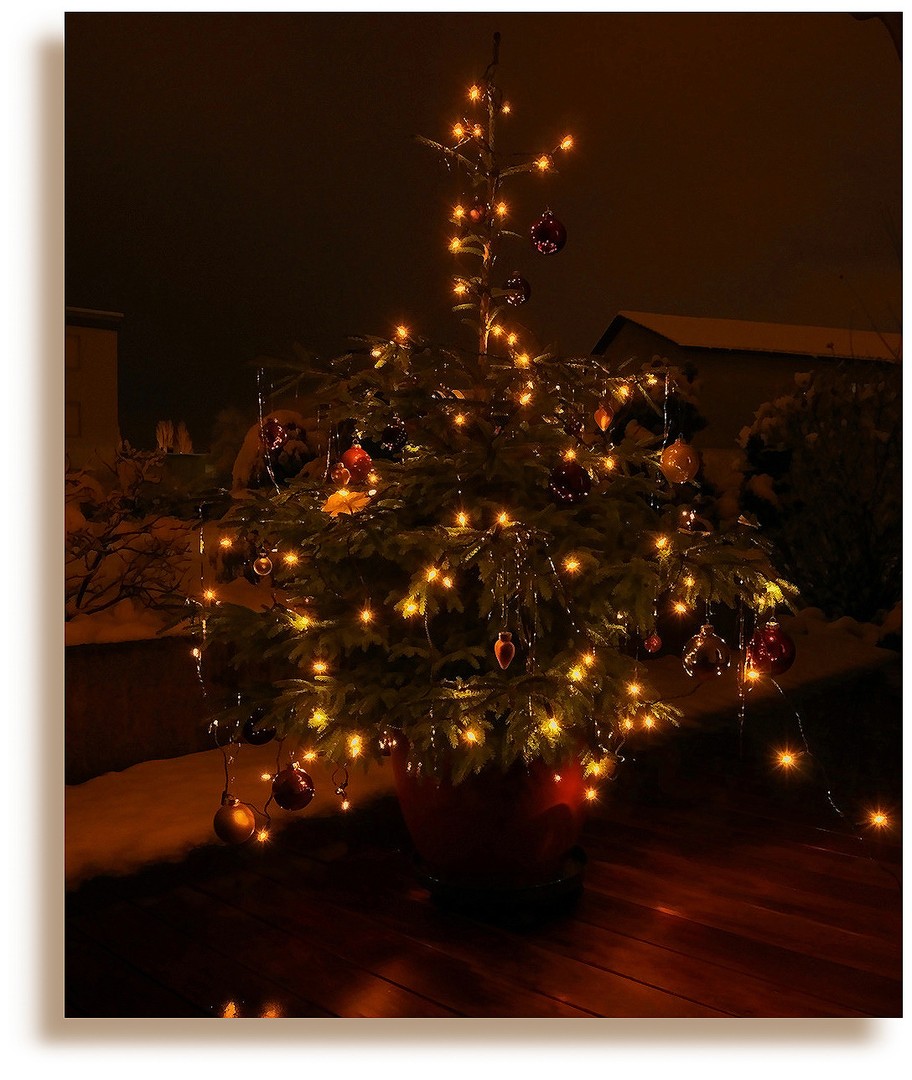 Tannenbaum