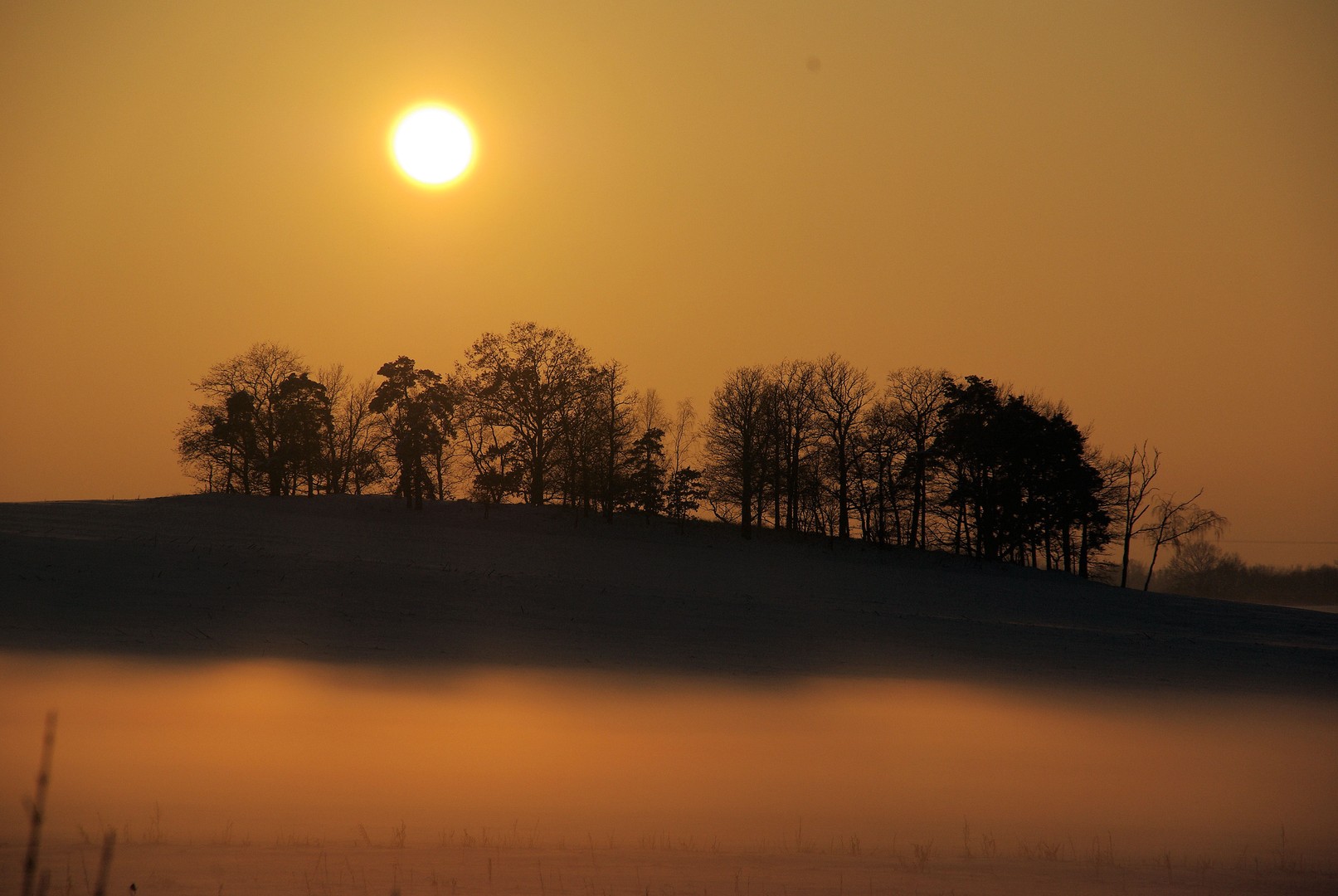 Wintersonne