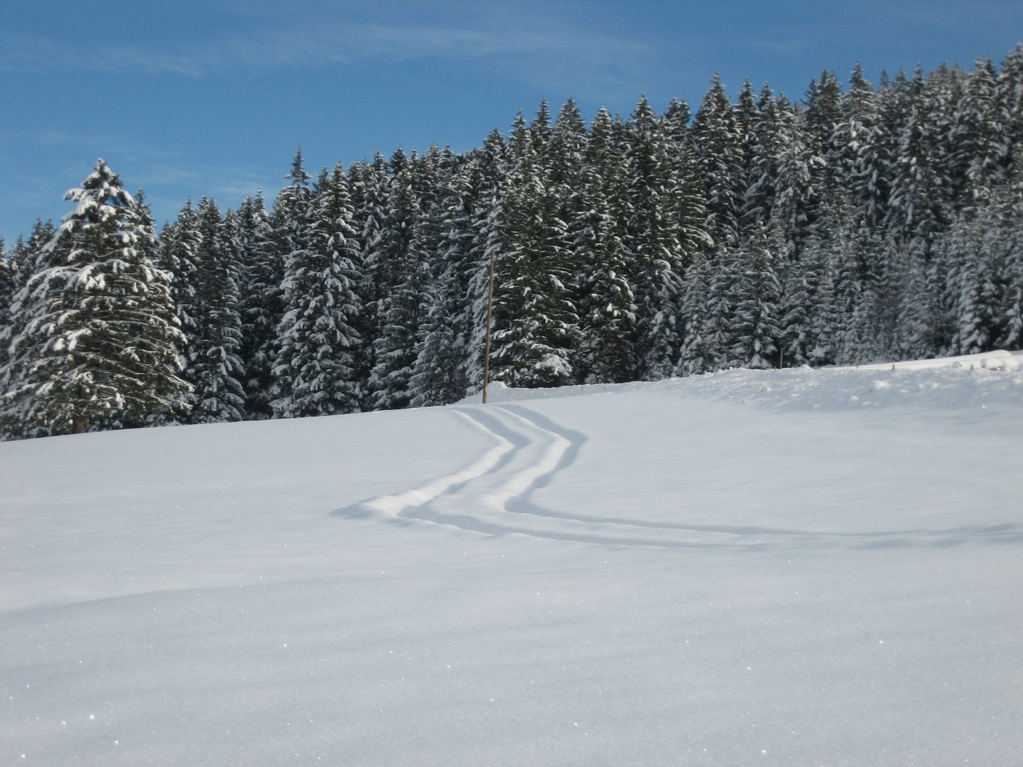 Spuren im Schnee ...