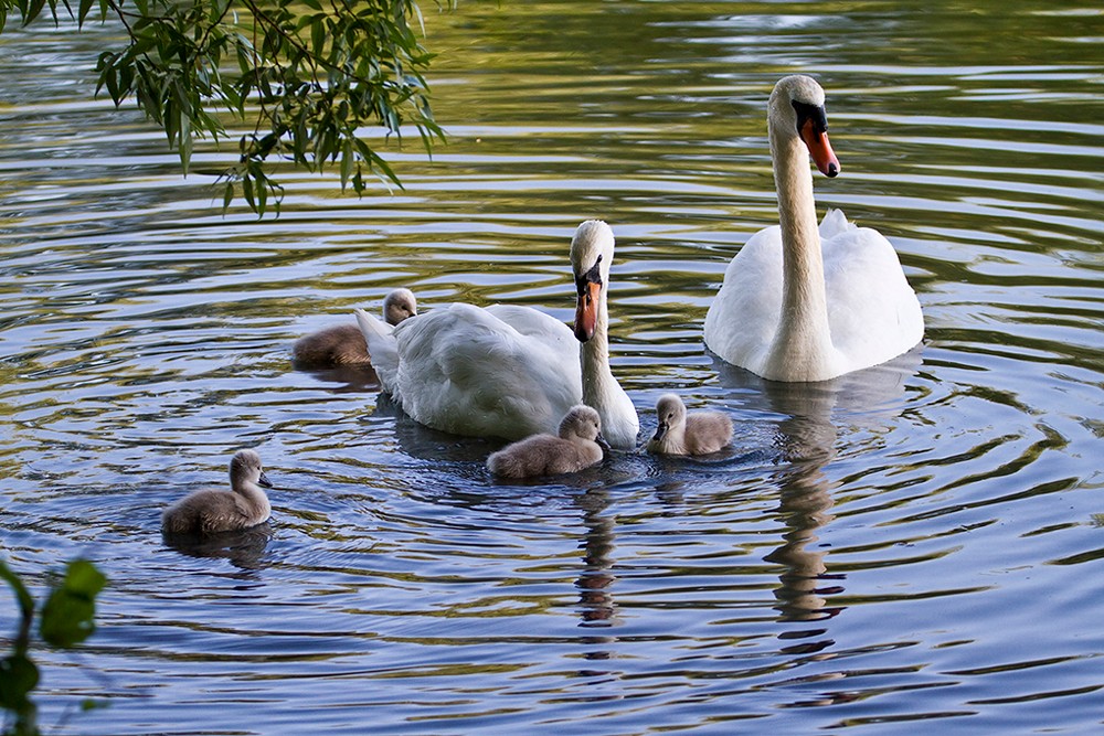 Glückliche Familie