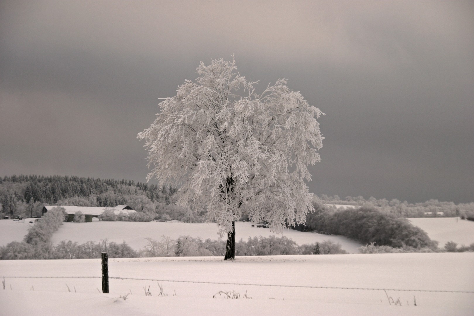 Winter in der Eifel!