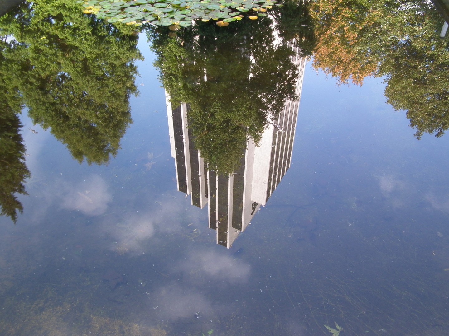 Radission Hotel im Spiehelbild