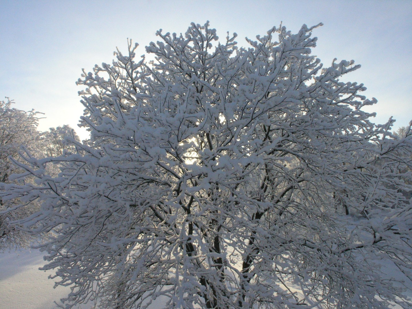 Schatten und Sonne