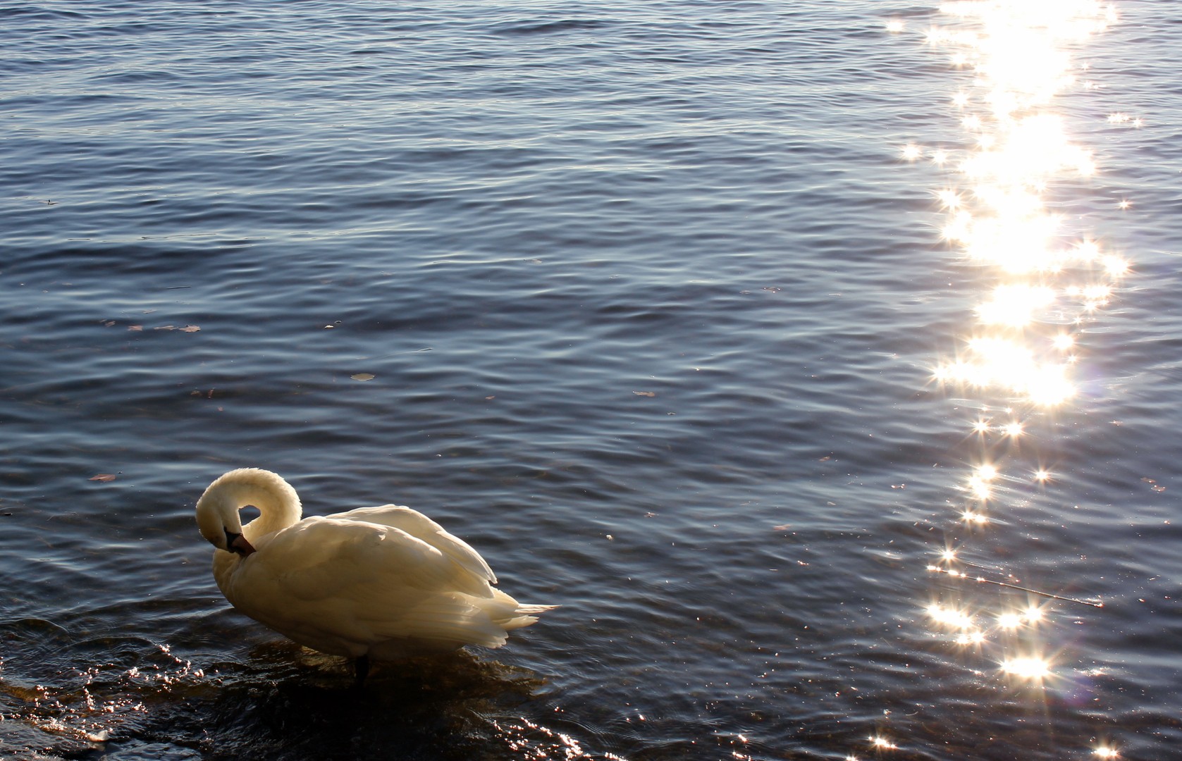 in der Herbstsonne