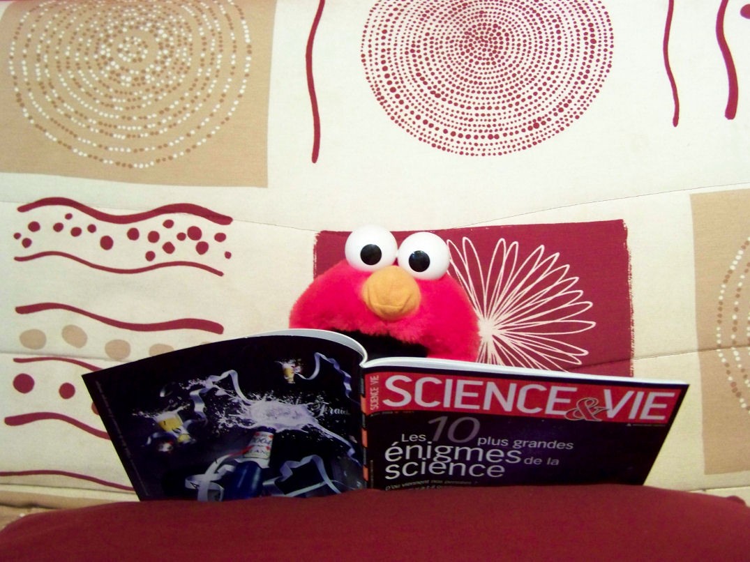 Elmo à la lecture