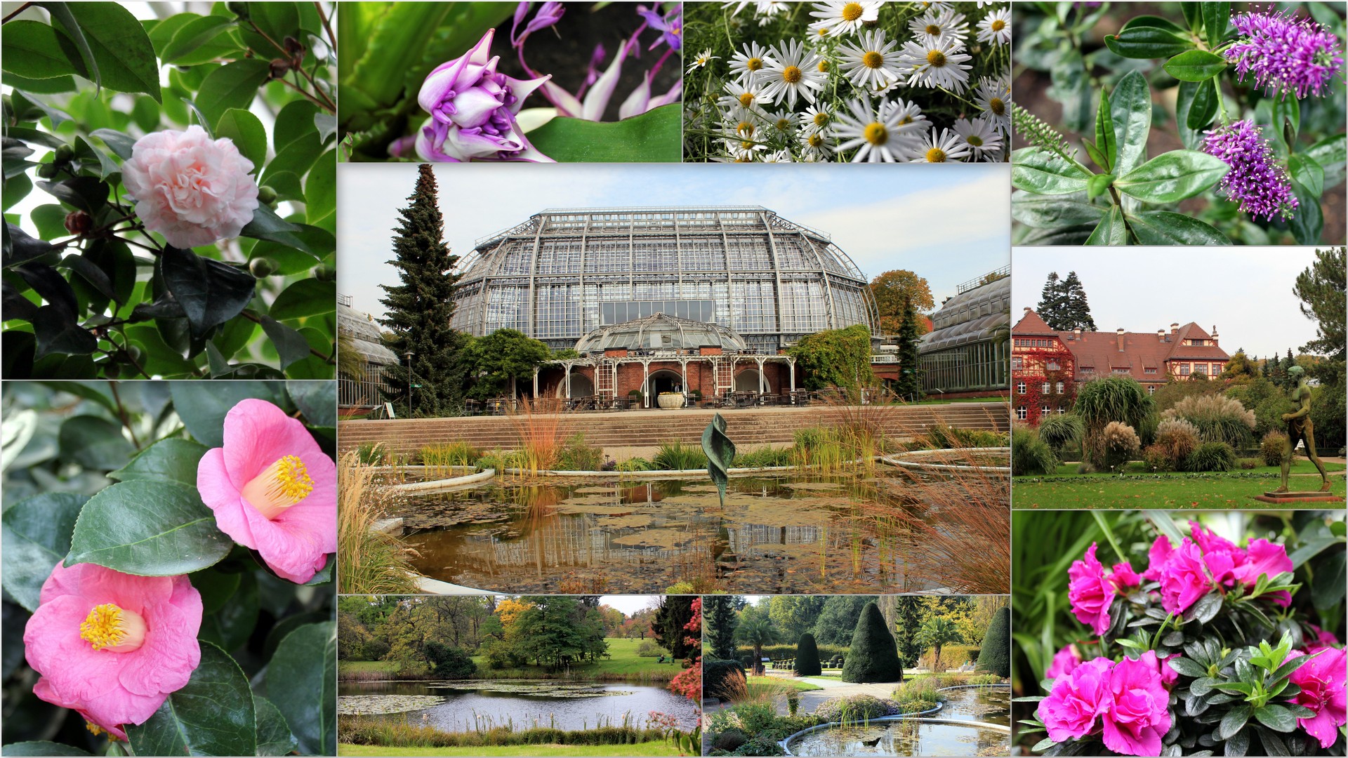 Herbst im Botanischen Garten, Berlin