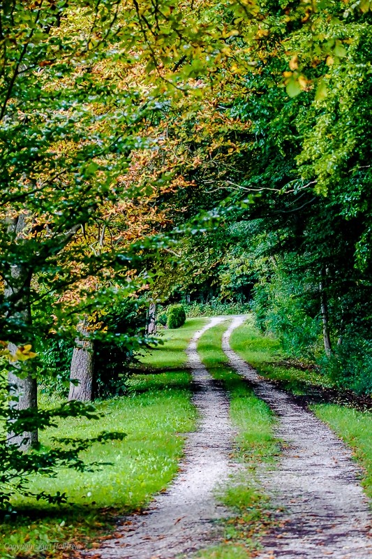 Wanderweg im Herbst