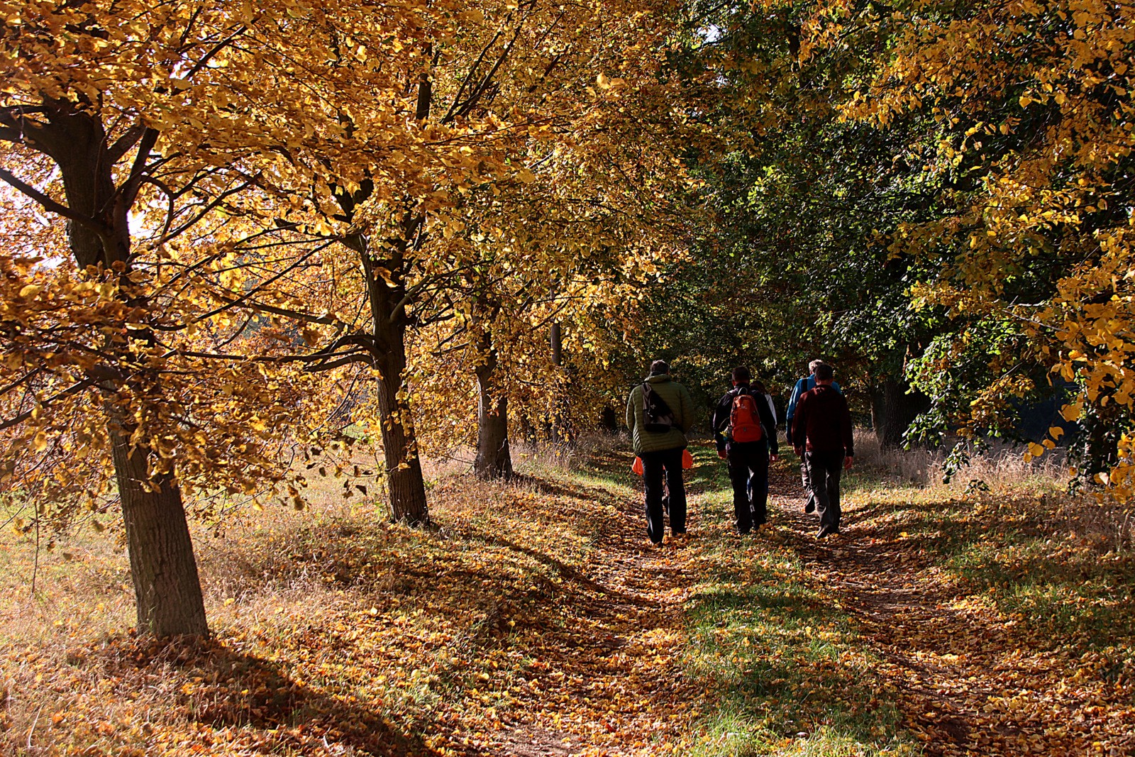 Herbstspaziergang