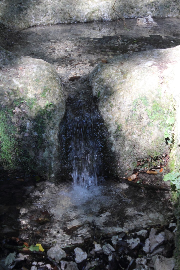 "L'indécente" ou que la nature est belle