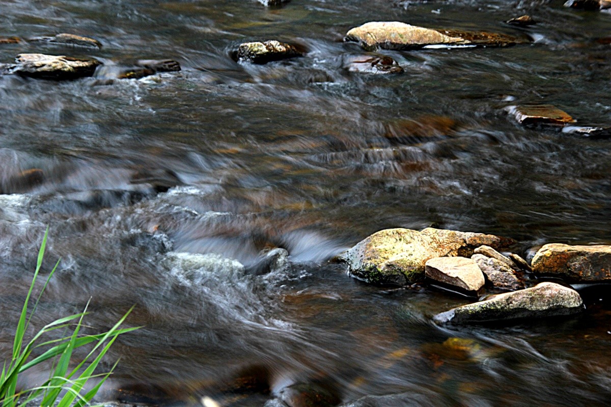 Schwarzwasser