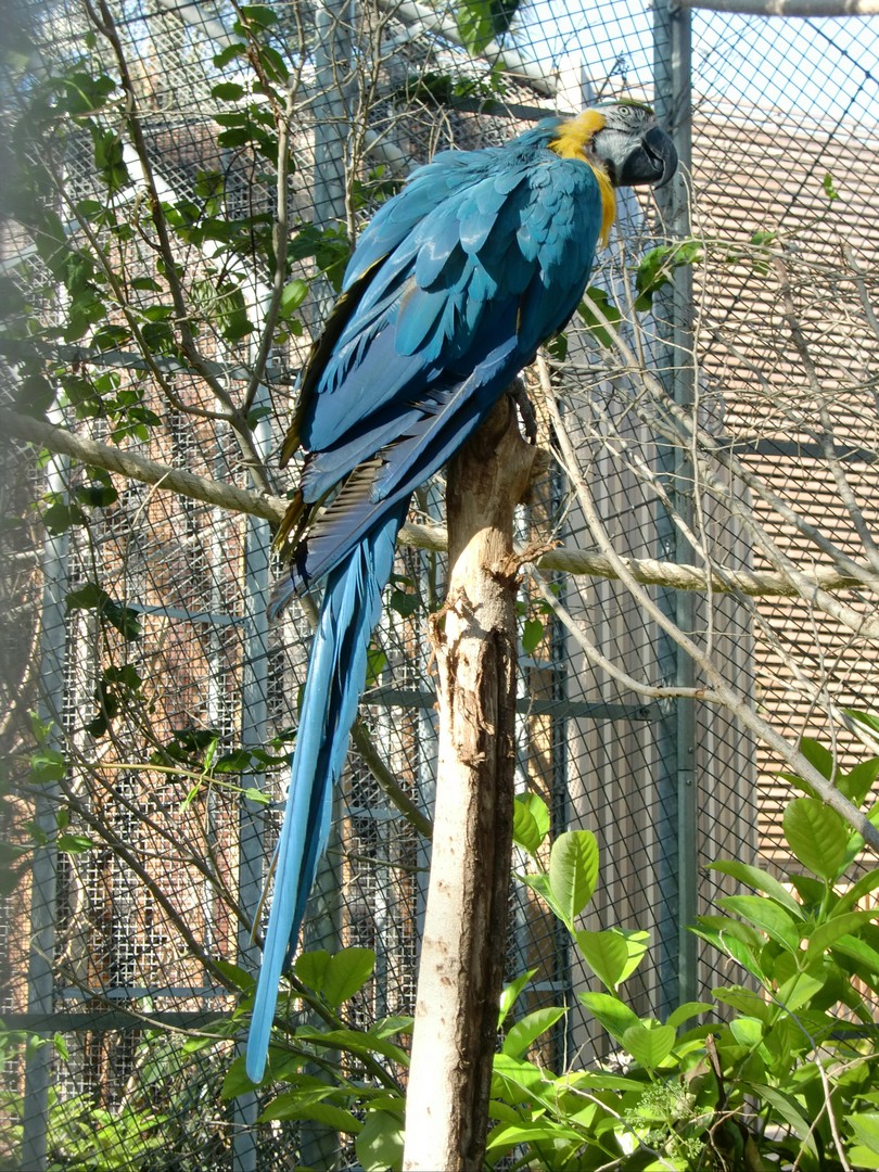 Zoo de Barcelone