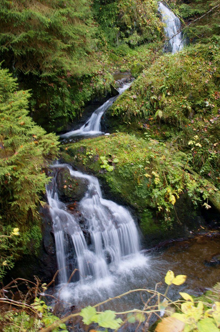 Wasser im Grünen