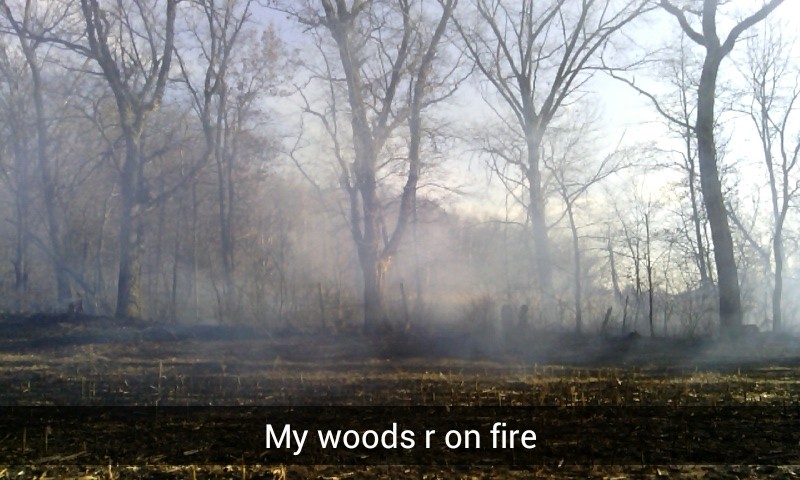 Woods on Fire