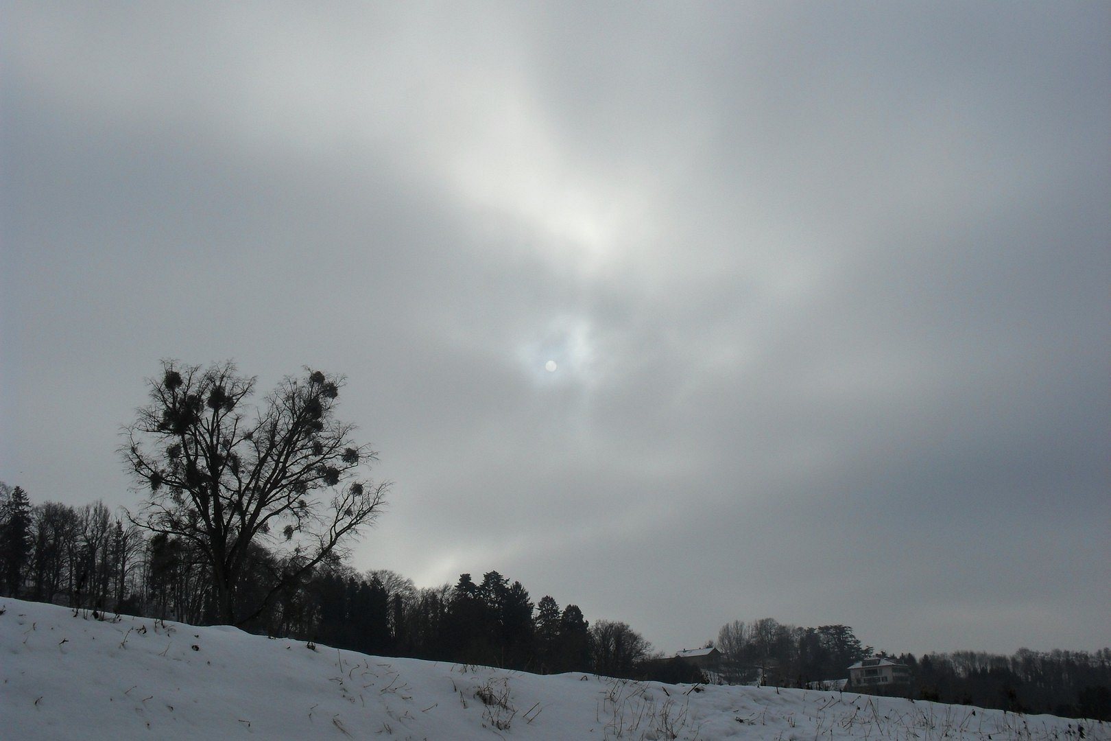 timide soleil d'hiver