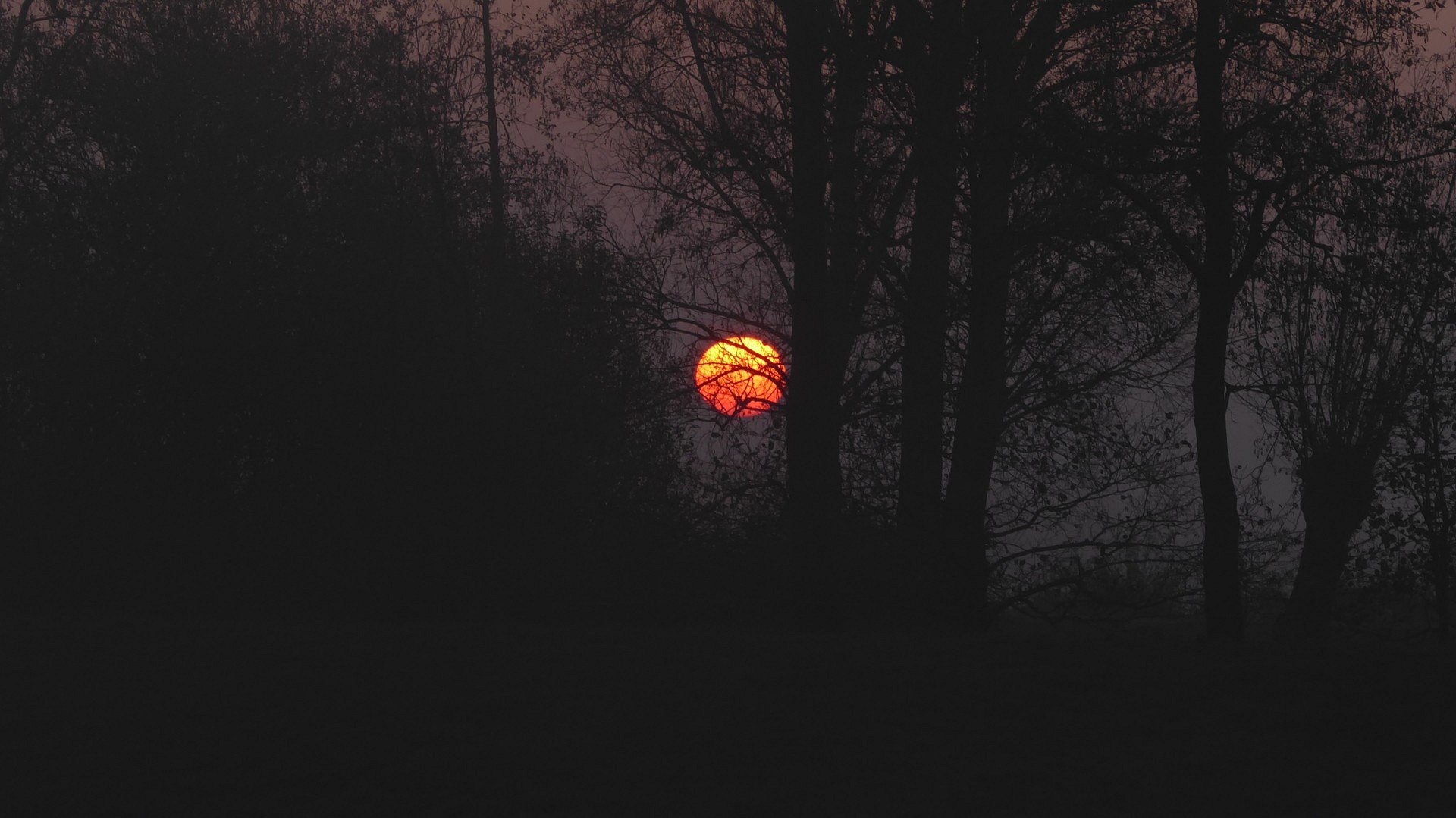 opgaande zon in TERKAPLE friesland