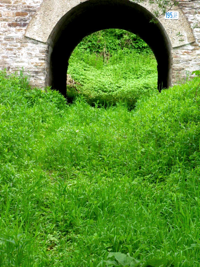 tunnel