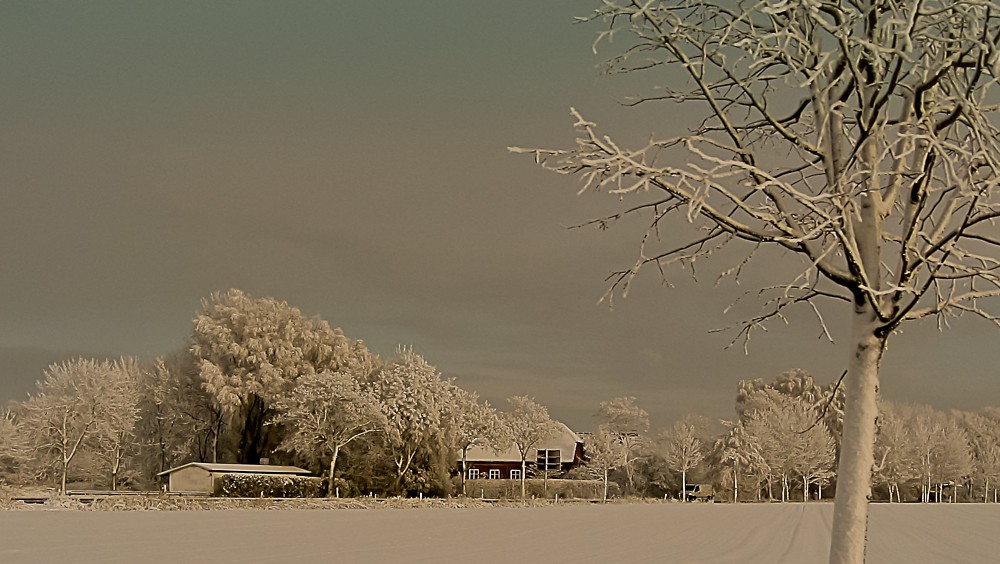 Frohe Weihnachten