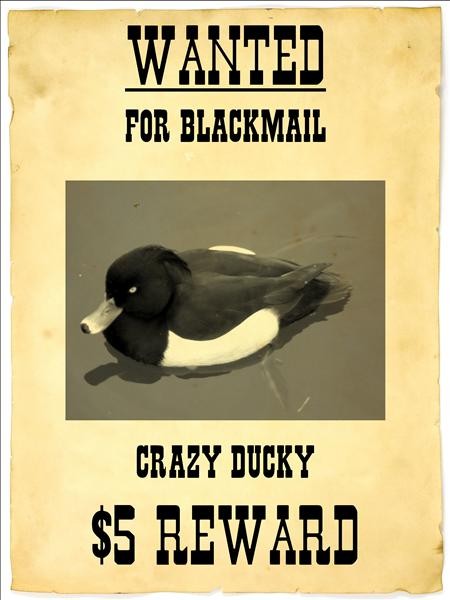 Zombieland  Mad Duck Posters