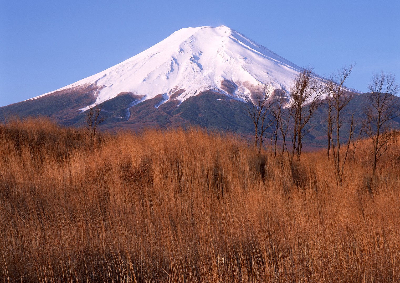 富士山_1