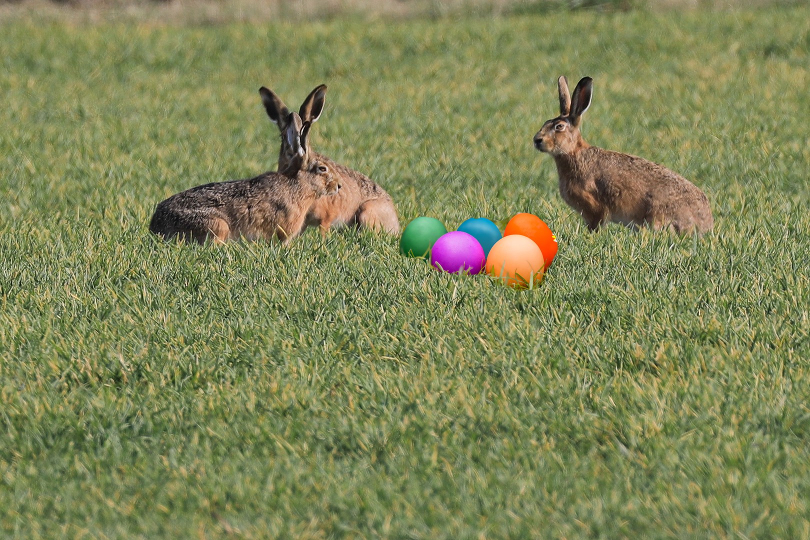 Osterzeit