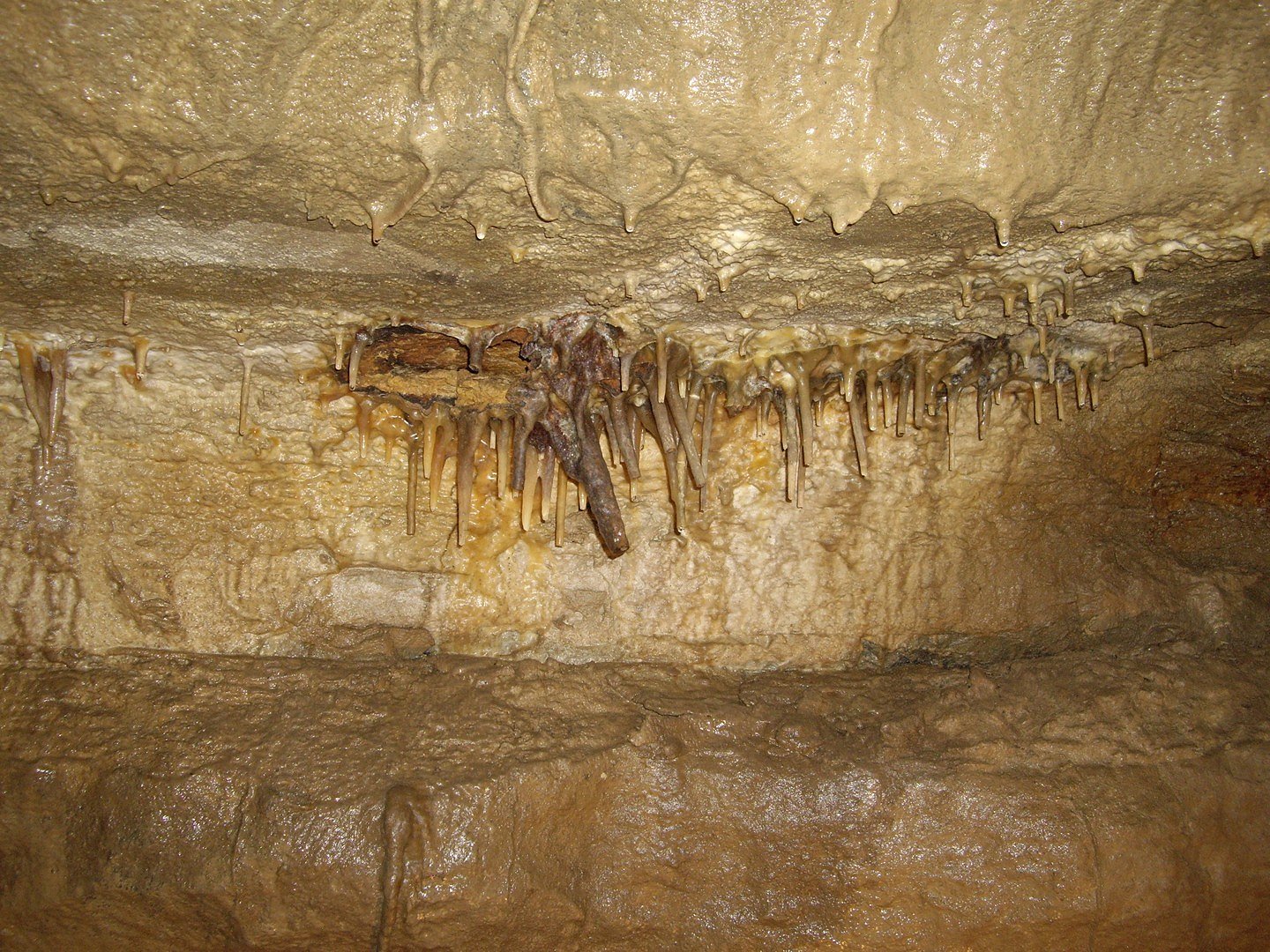 More flowstone and shelf 