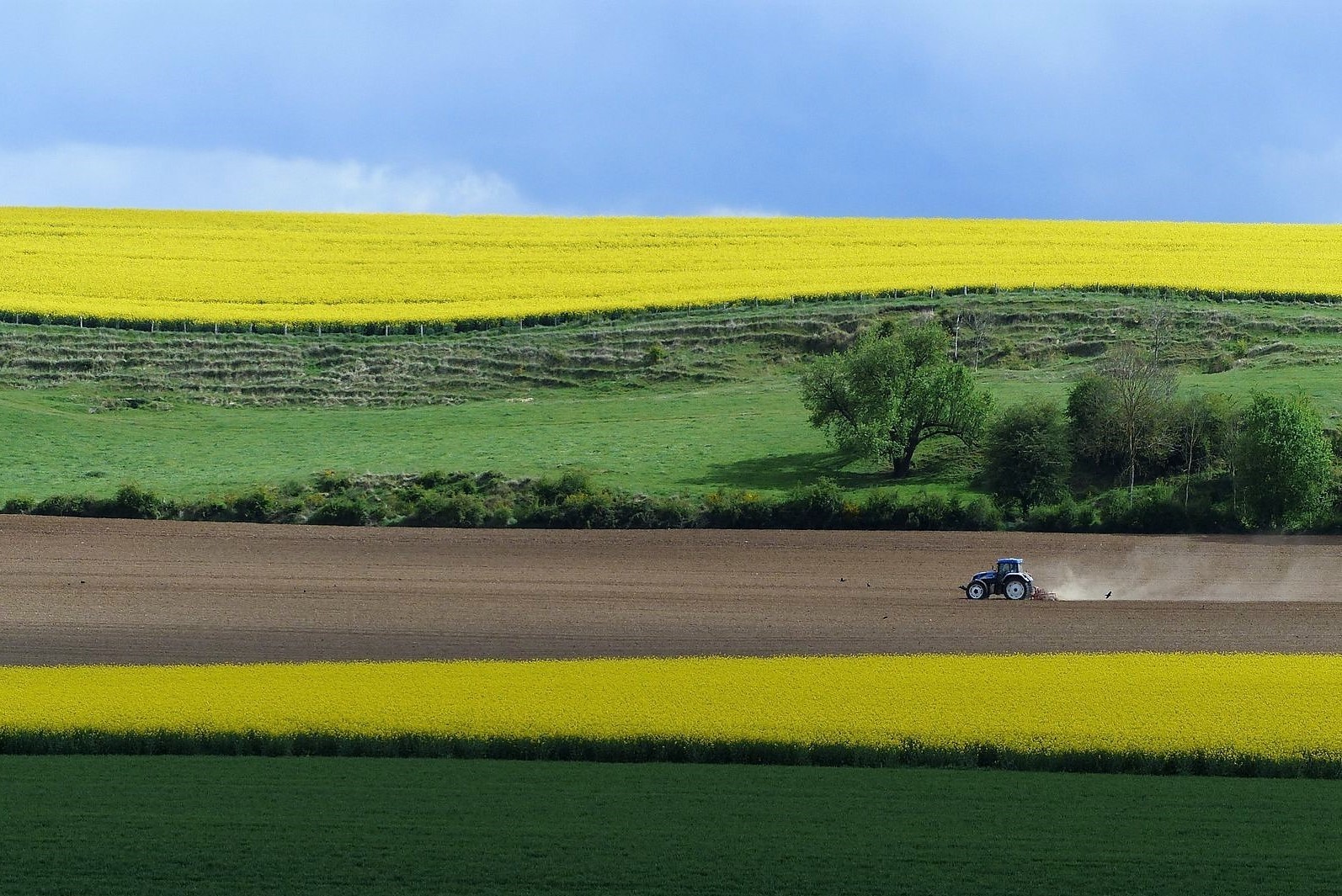 Le tracteur