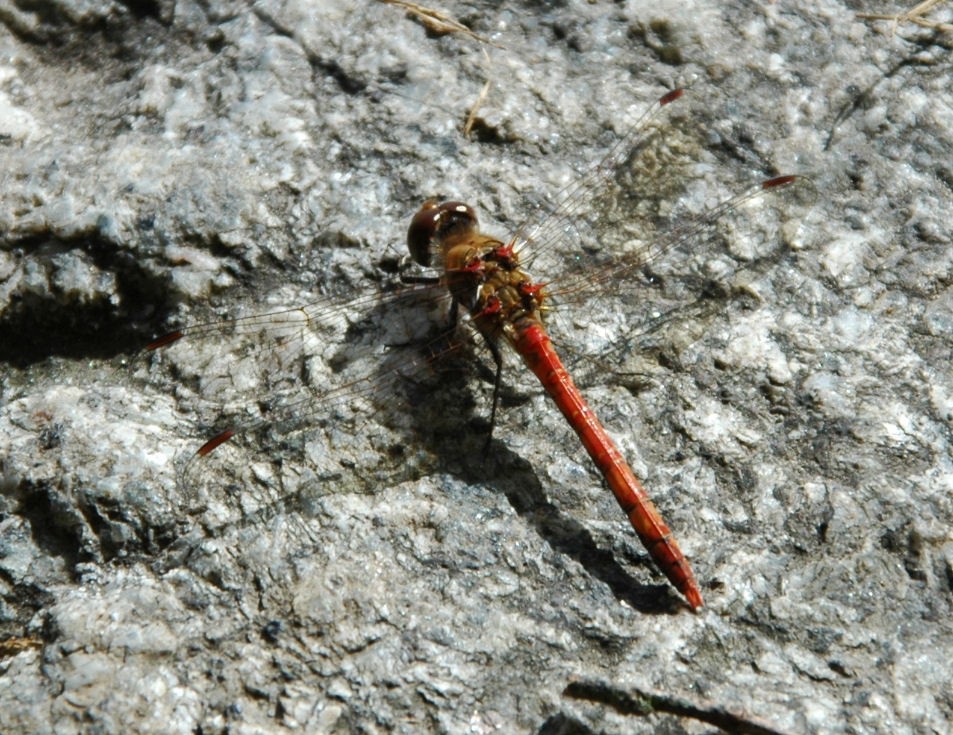 Aufwärmen